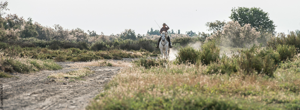Blatière 20150607-0437