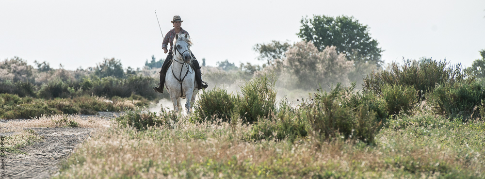 Blatière 20150607-0440