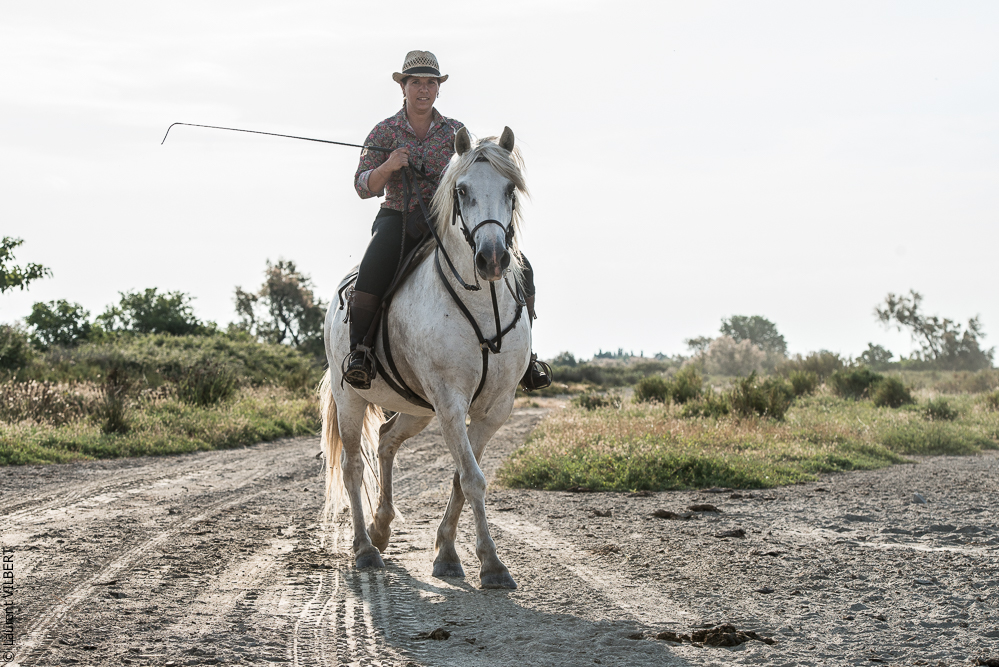 Blatière 20150607-0454