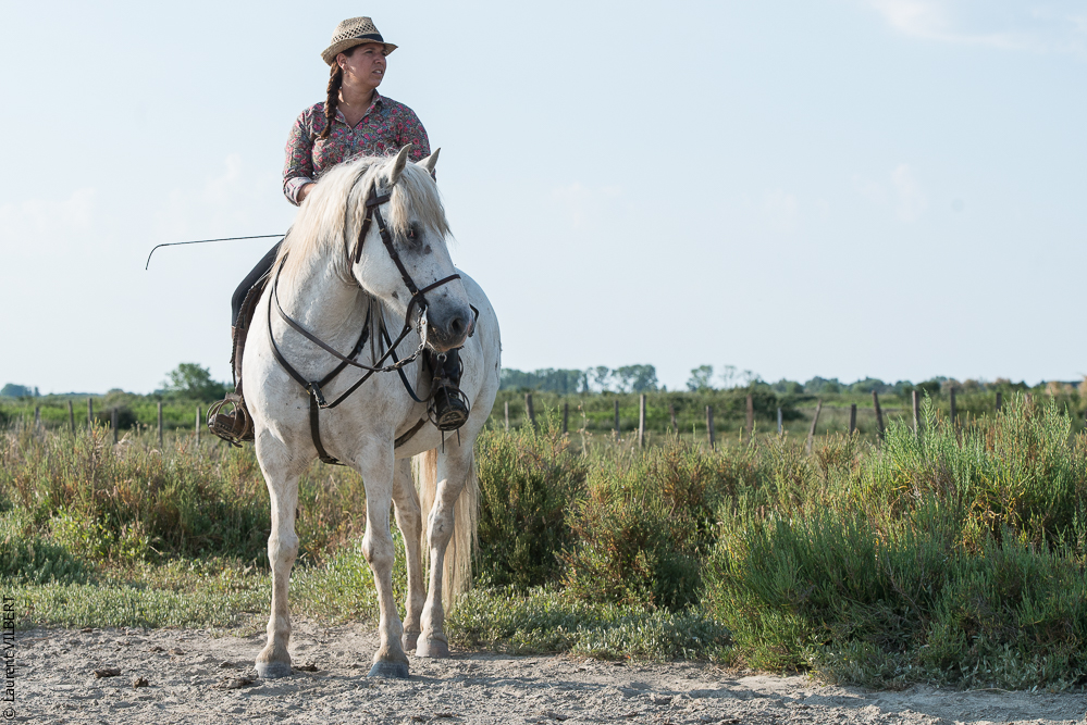 Blatière 20150607-0468