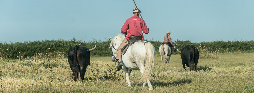 Blatière 20150607-0580