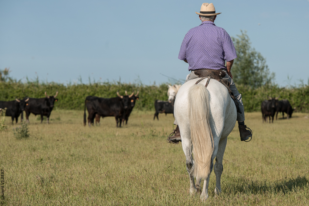 Blatière 20150607-0607