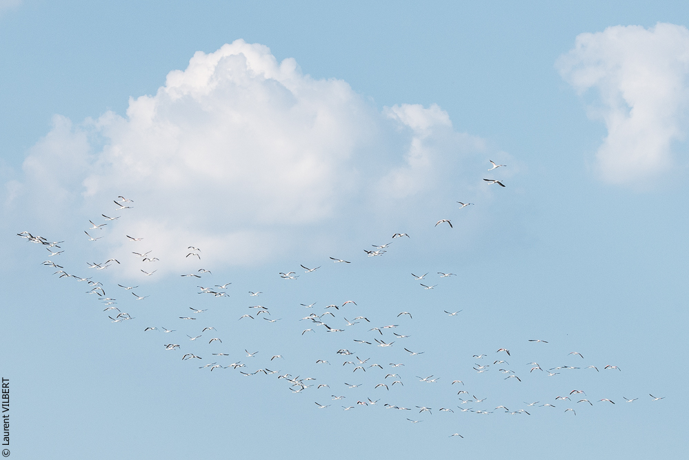 Blatière 20150607-0639