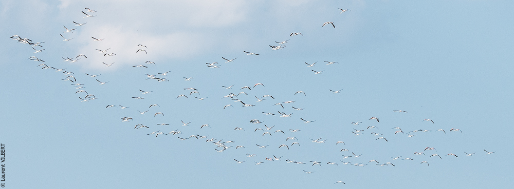 Blatière 20150607-0639