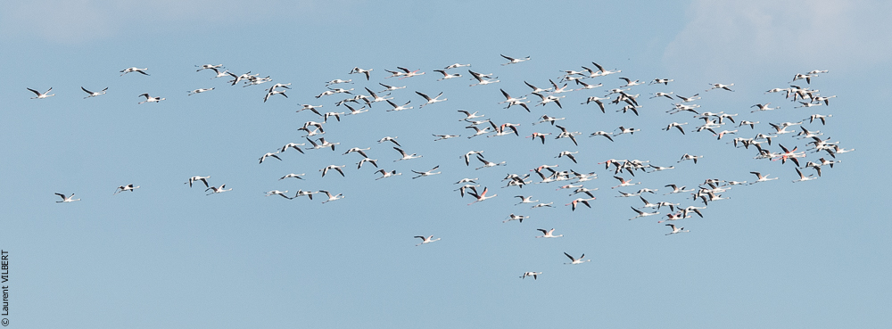 Blatière 20150607-0645