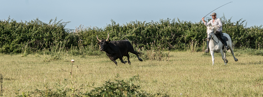 Blatière 20150607-0686