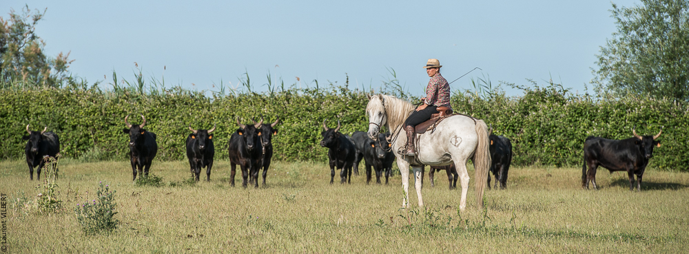 Blatière 20150607-0717