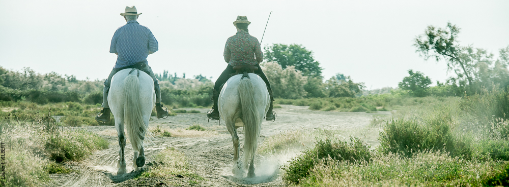 Blatière 20150607-0732