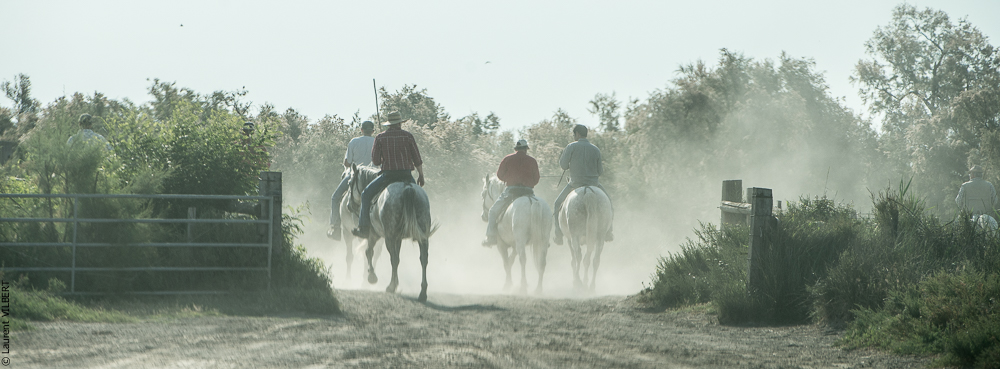 Blatière 20150607-0776