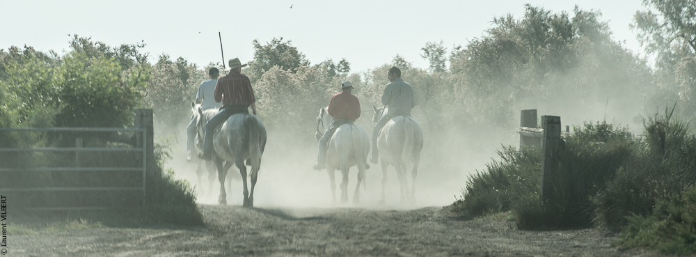 Blatière 20150607-0777