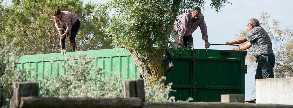 Blatière 20150607-0968