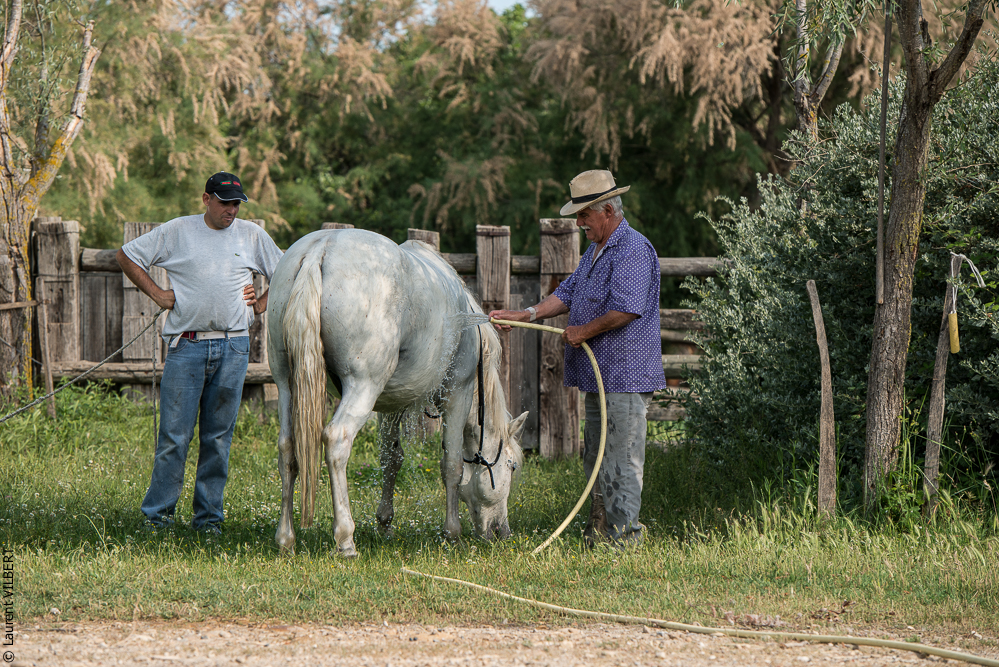 Blatière 20150607-1038