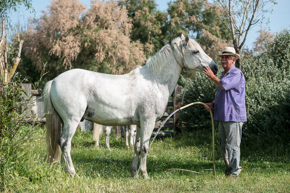 Blatière 20150607-1080