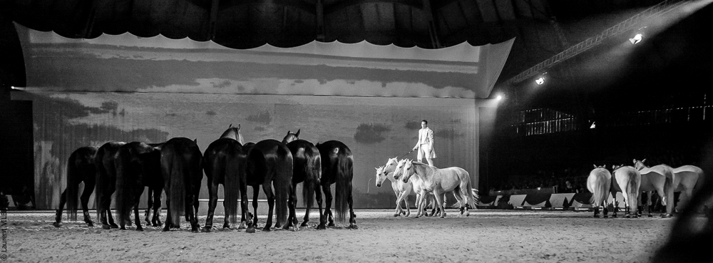 Cheval Passion 20150123-0452