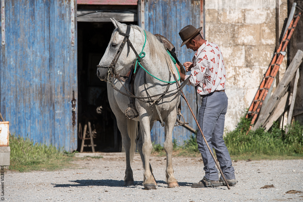 Raynaud 20150606-0088