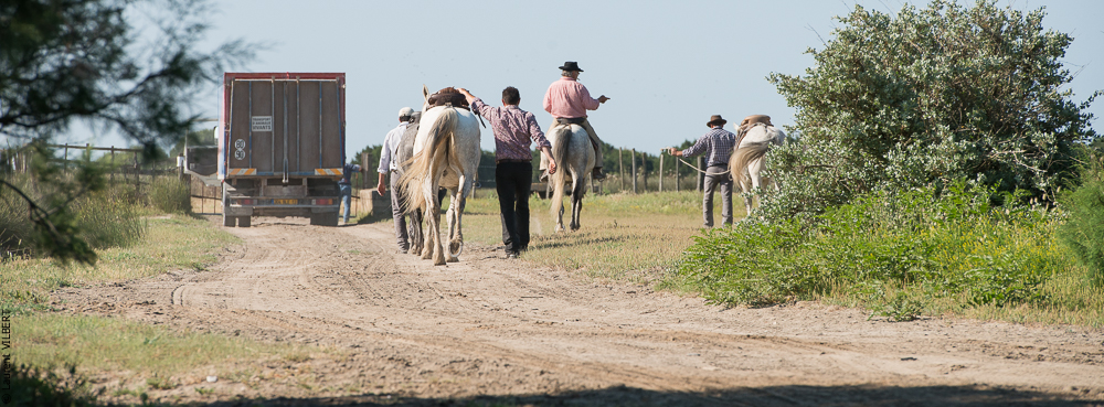 Raynaud 20150606-0116