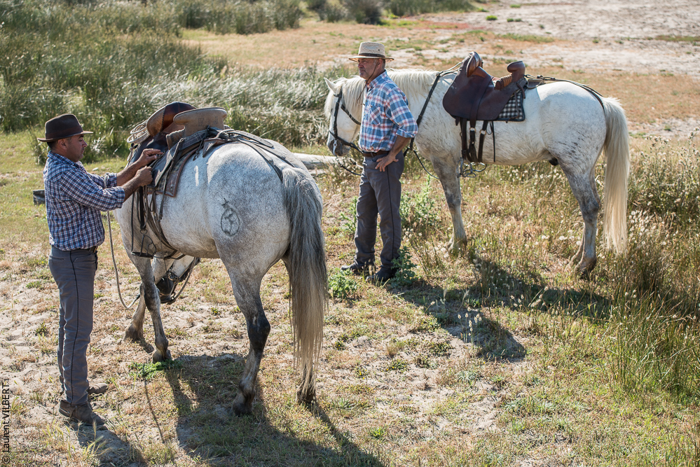 Raynaud 20150606-0286