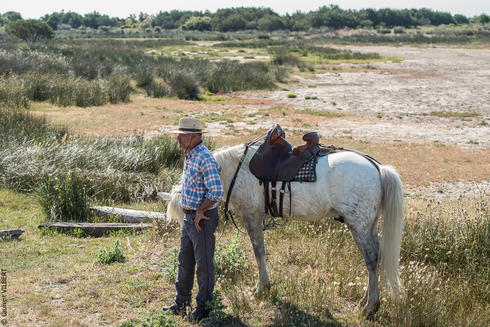 Raynaud 20150606-0288