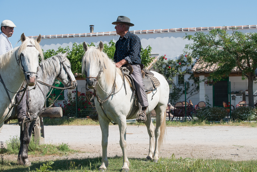Raynaud 20150606-0320