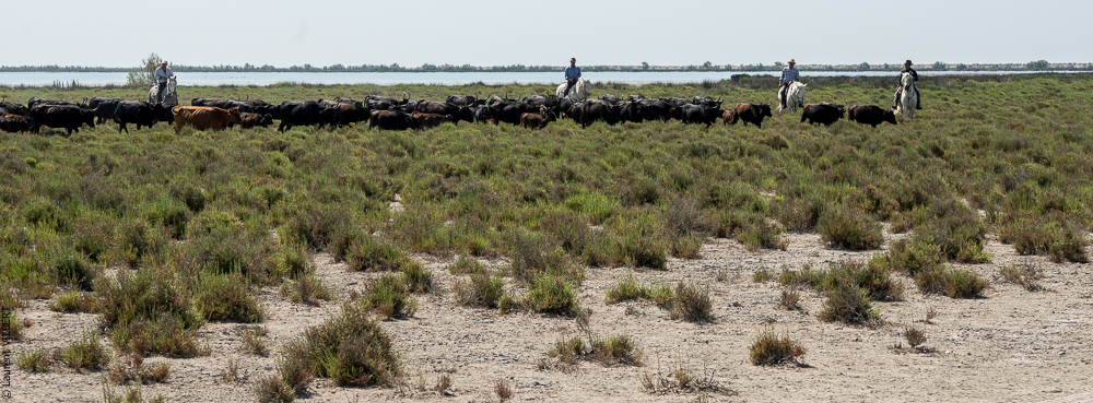 Raynaud 20150606-0375