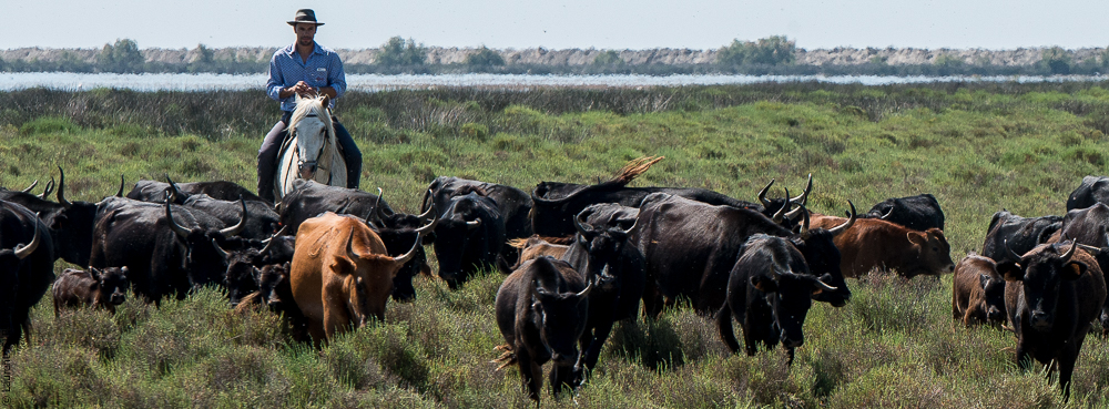 Raynaud 20150606-0377