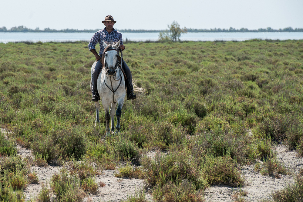 Raynaud 20150606-0392