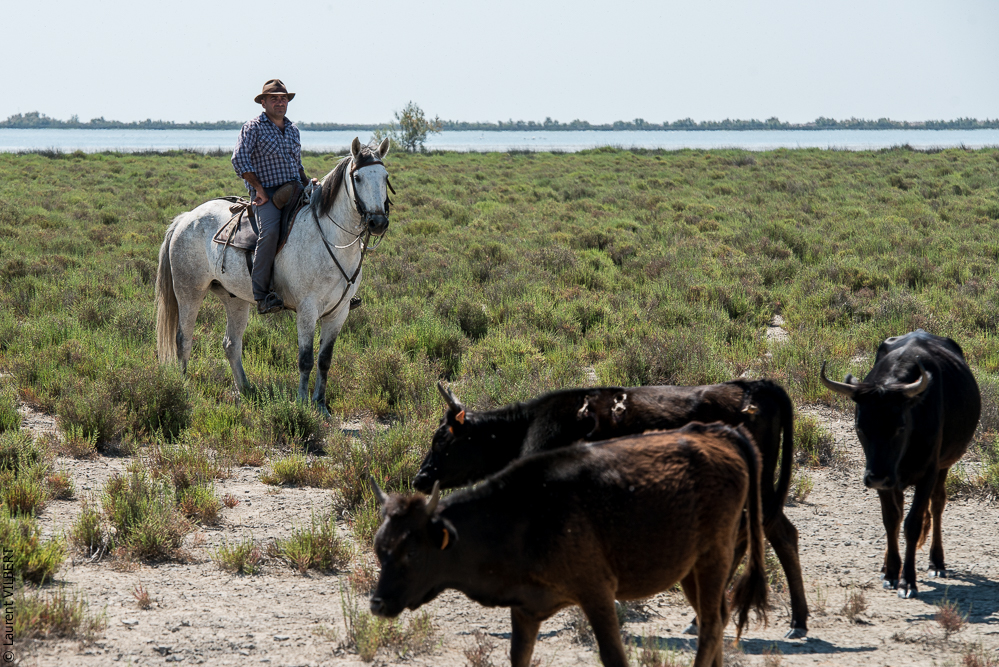 Raynaud 20150606-0397