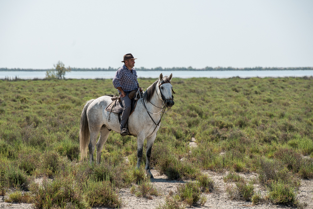Raynaud 20150606-0403