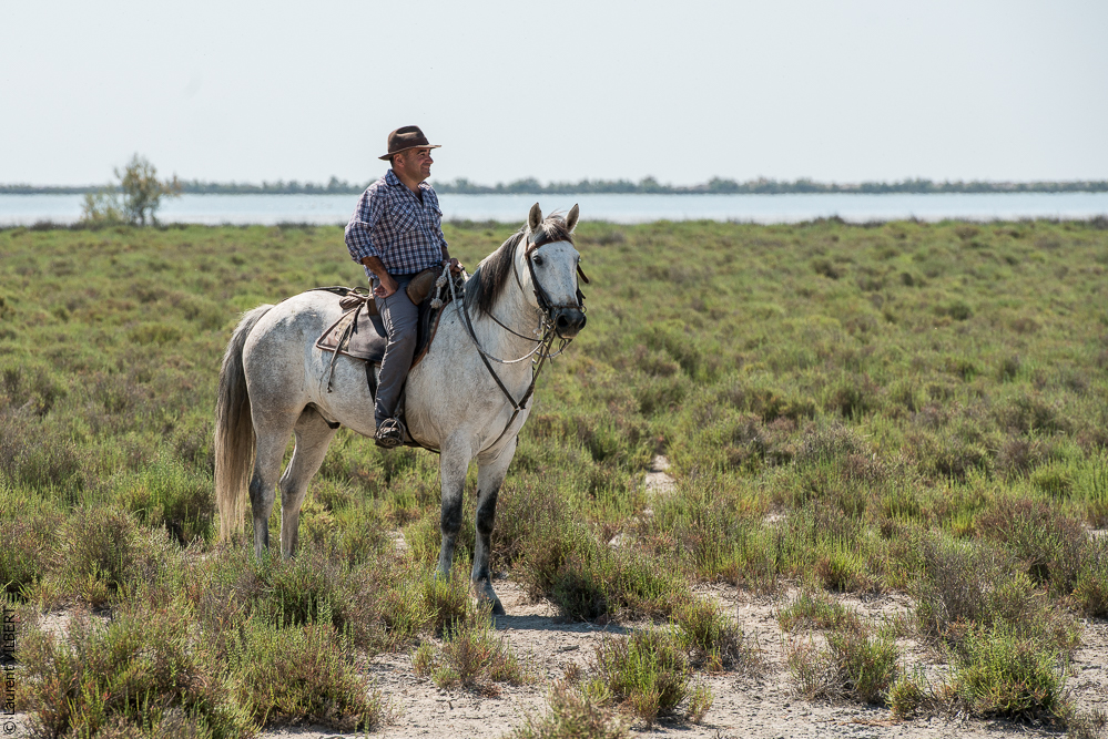 Raynaud 20150606-0403