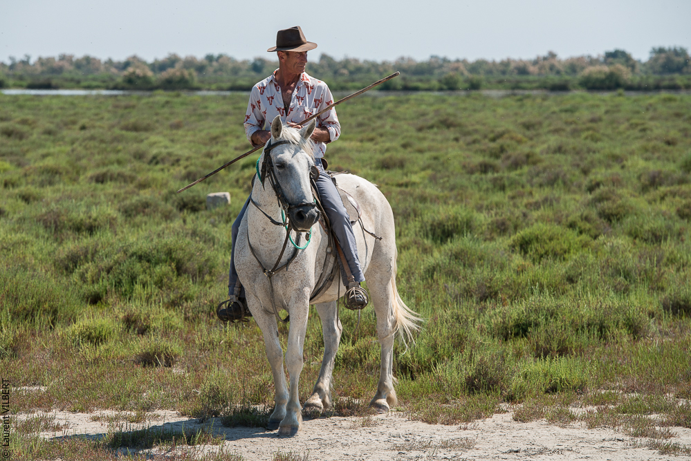 Raynaud 20150606-0443