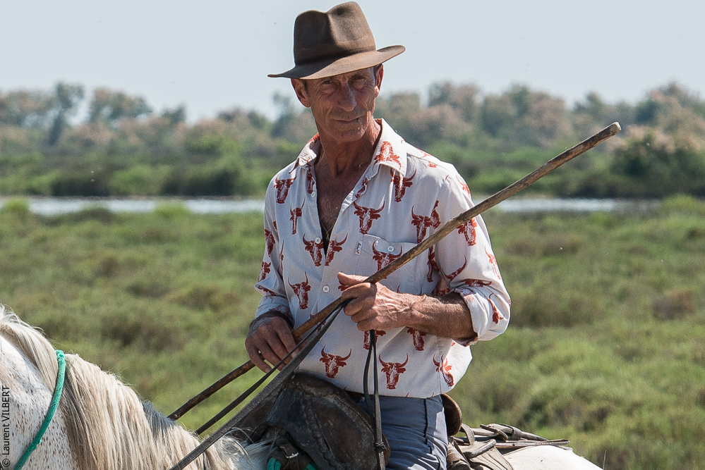 Raynaud 20150606-0445