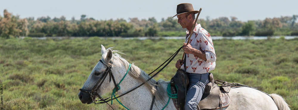 Raynaud 20150606-0447