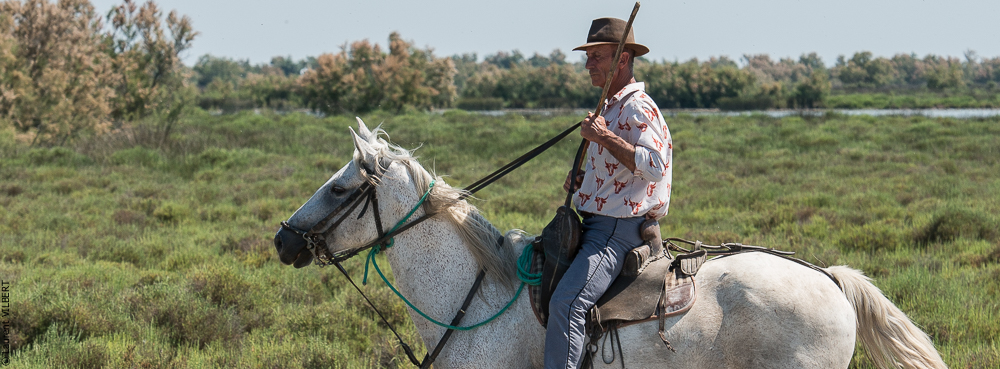 Raynaud 20150606-0448