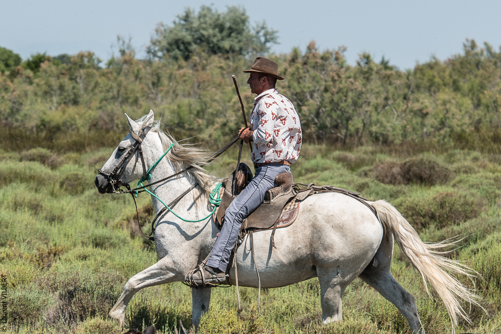 Raynaud 20150606-0453