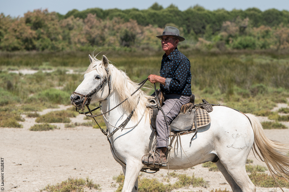 Raynaud 20150606-0542