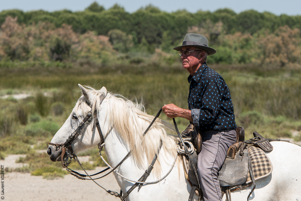 Raynaud 20150606-0545