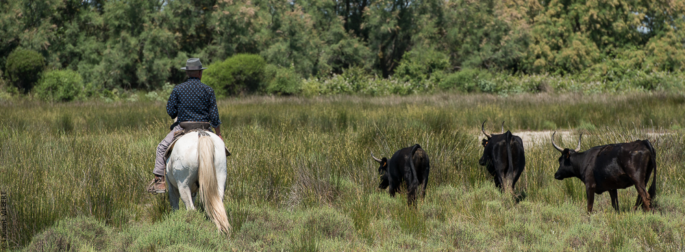 Raynaud 20150606-0564