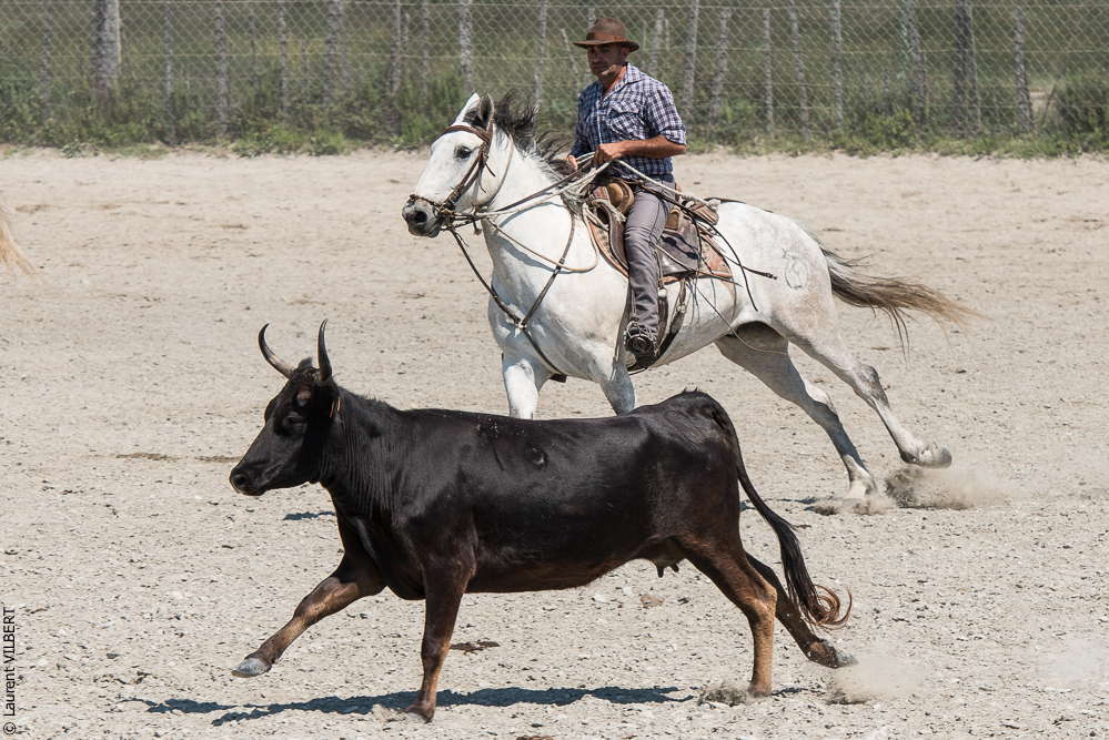 Raynaud 20150606-0692