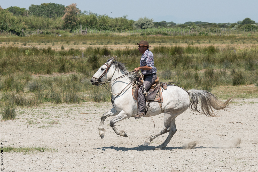 Raynaud 20150606-0701