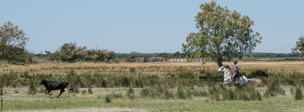 Raynaud 20150606-0705