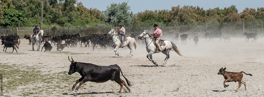 Raynaud 20150606-0750