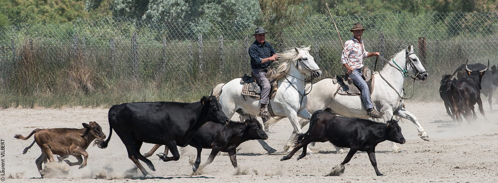 Raynaud 20150606-0830