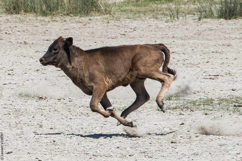 Raynaud 20150606-0849