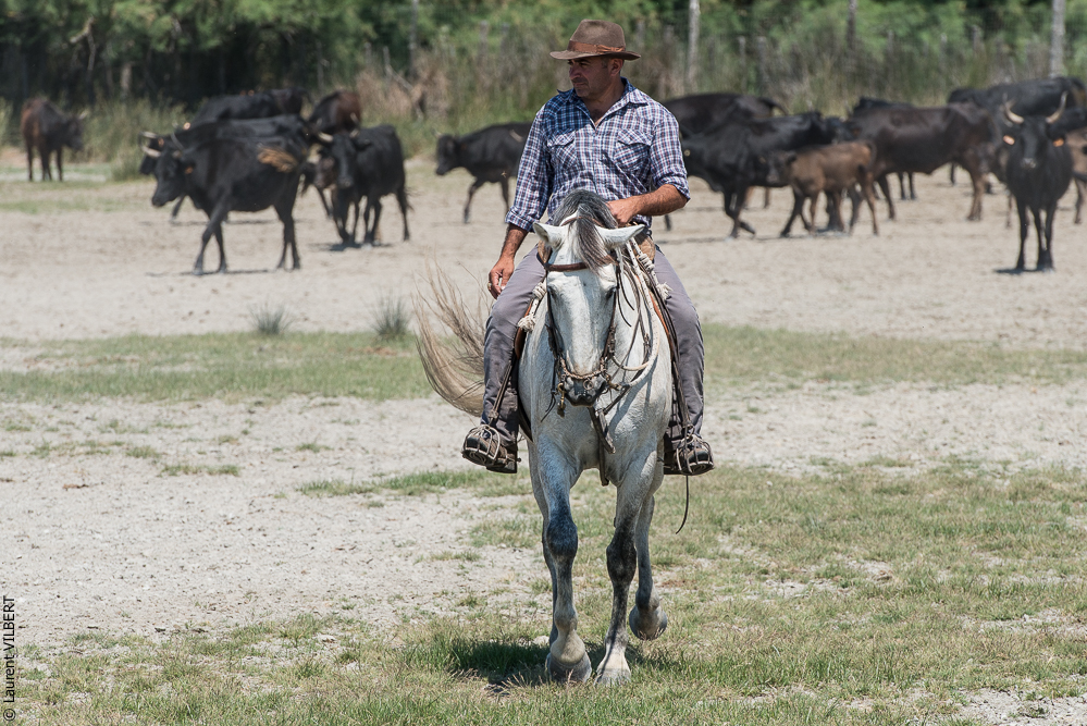 Raynaud 20150606-0873
