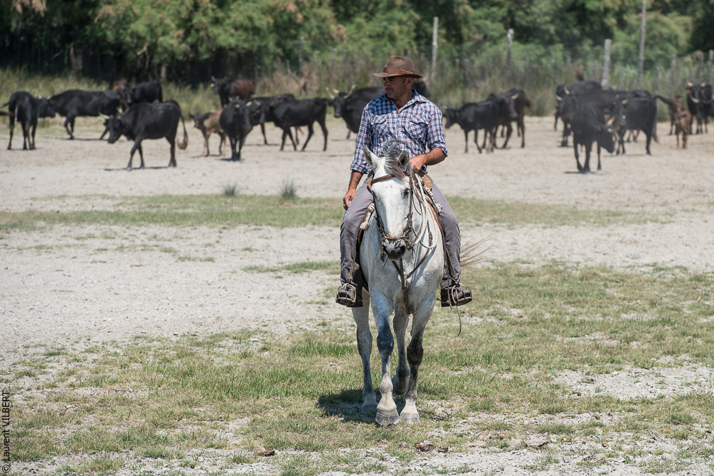 Raynaud 20150606-0876