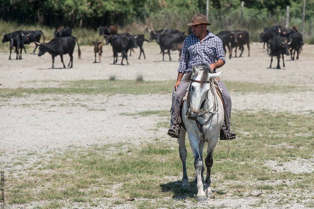 Raynaud 20150606-0877