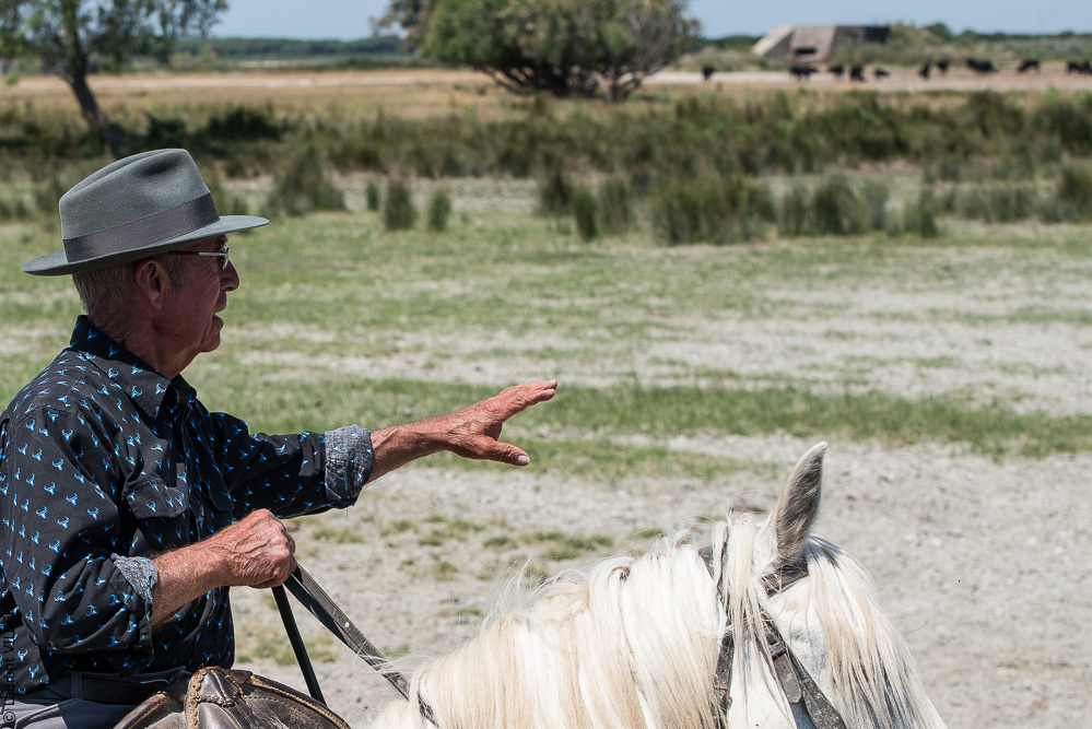 Raynaud 20150606-0886