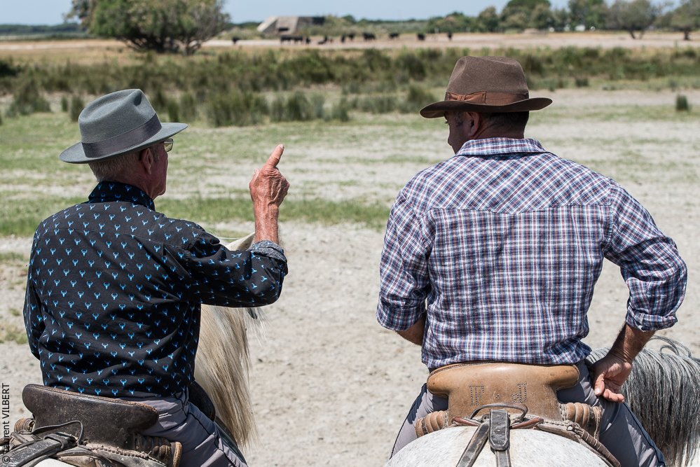 Raynaud 20150606-0890