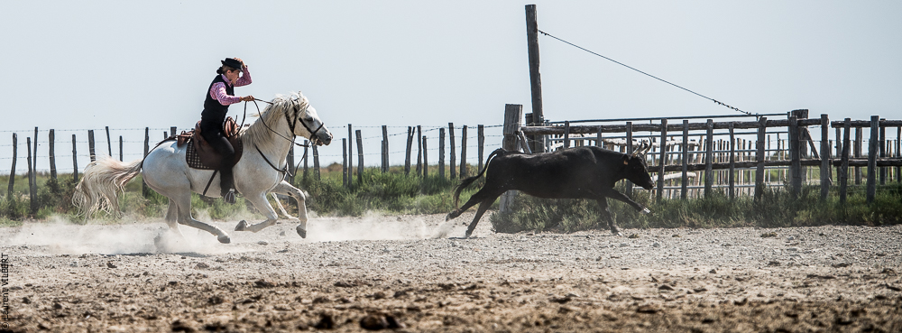 Saintes 20130712-0549