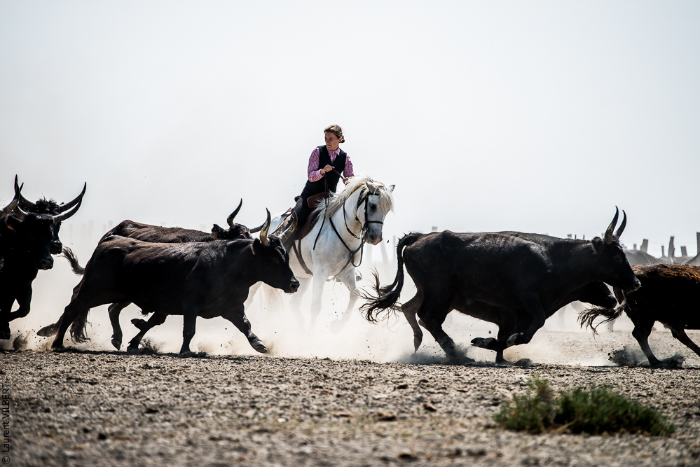 Saintes 20130712-0563